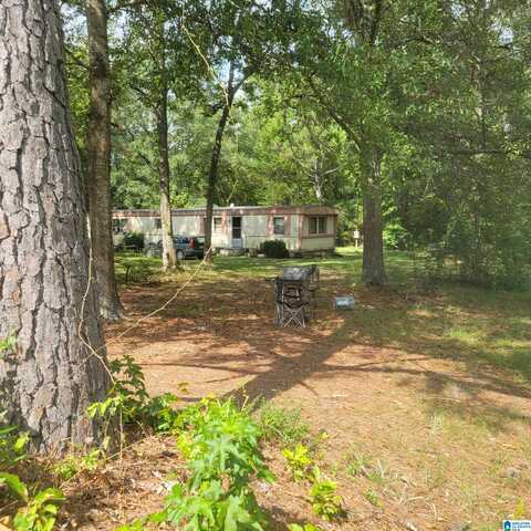 4566 KINGS CHAPEL ROAD, ALPINE, AL 35014