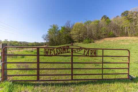 Unk Polk Road 670, Mena, AR 71953