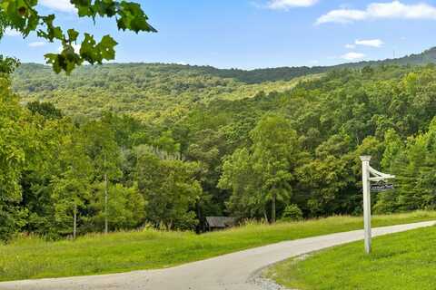 Cloudland Trace, Chickamauga, GA 30707