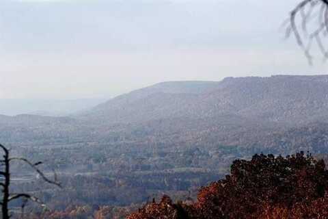 1080 Black Bear Trail, Evensville, TN 37332