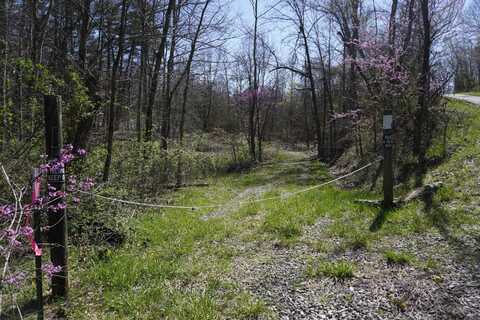 0 Dickens Road, Oak Hill, OH 45656