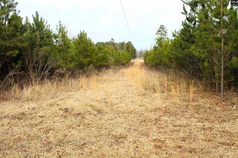 TBD Crooked Creek Road, Chapin, SC 29036