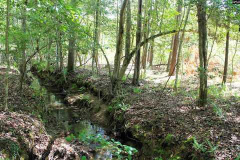 TBD Crooked Creek Road, Chapin, SC 29036