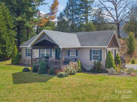 197 Caring Place Loop, Clyde, NC 28721