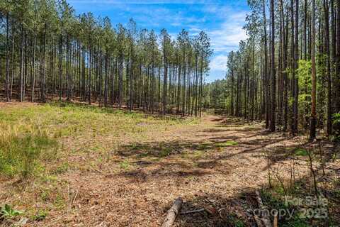 19 Sunset Drive, Mill Spring, NC 28756