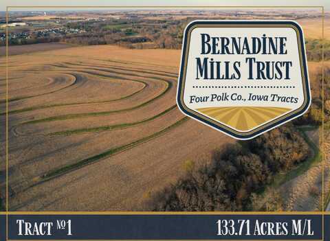 SE 80th Street/SE 6th Avenue, Runnells, IA 50237