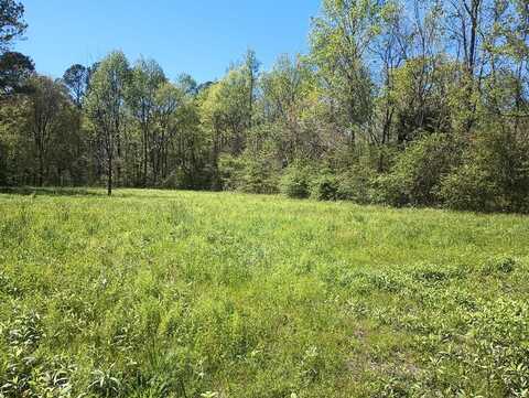 Holly Creek Cool Springs Road, CHATSWORTH, GA 30705