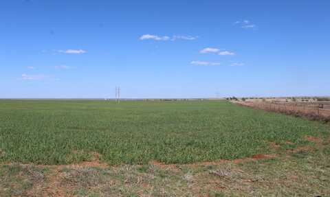 E. 290 Rd & N. 180 Rd, May, OK 73851