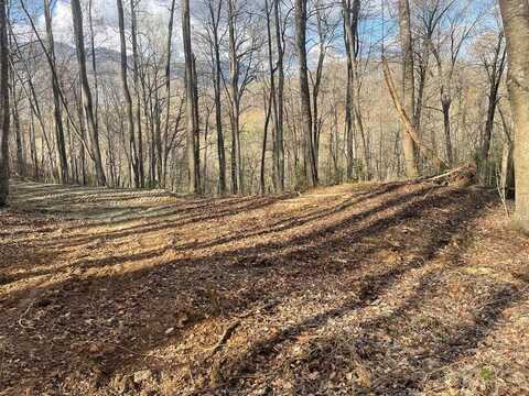 Lot 4 Copperhead Cove, Sylva, NC 28779