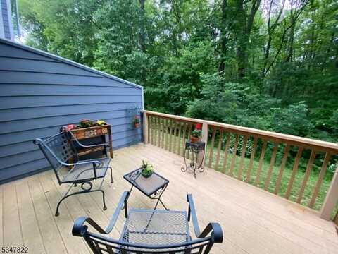 19 Raven Dr, Morris, NJ 07960