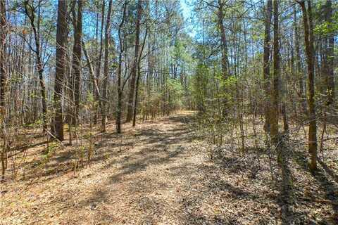 X Mill Ridge Drive, Monroe, GA 30655