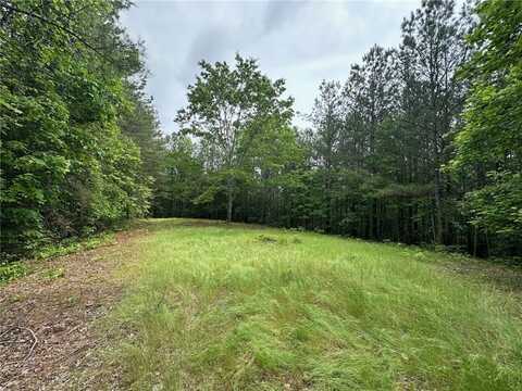 6.5-/+ Larmon Forks, Dahlonega, GA 30533