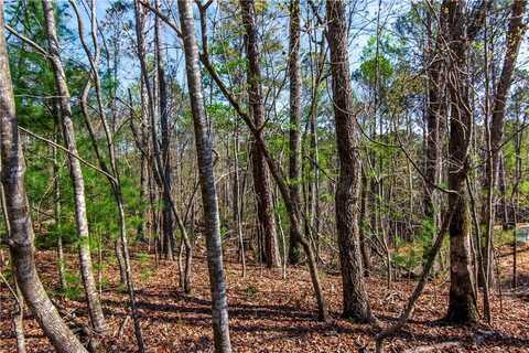 1.02 Monitor Drive, Ellijay, GA 30540