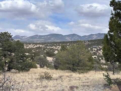 Magdalena Mountain Ranch lot: 5, Magdalena, NM 87825