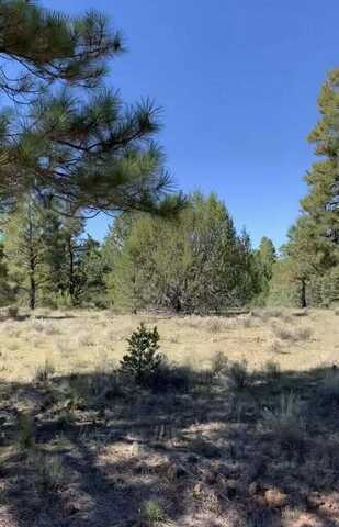 Cerro Leonides Road, Grants, NM 87020