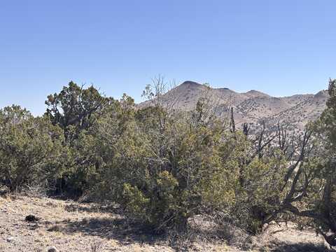 Lot 126 Abbe Springs, Magdalena, NM 87825