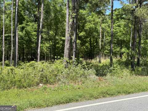 13059 E State Route 26 Road, Montezuma, GA 31063