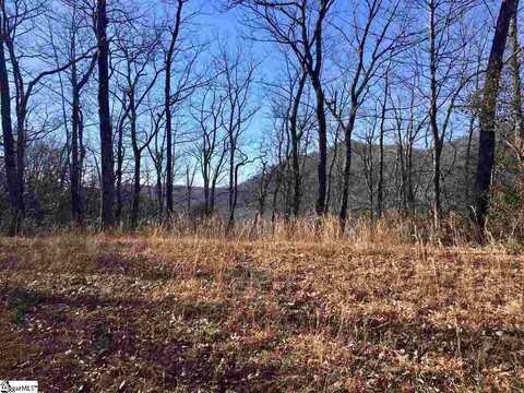 107 Sunfire Court, Travelers Rest, SC 29690