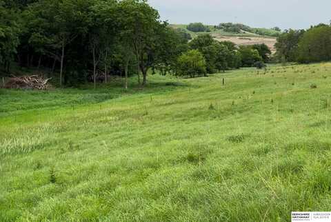 Lot 2 County Road P33, Blair, NE 68008