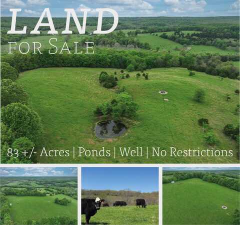 000 County Road Cc-256, Vanzant, MO 65768