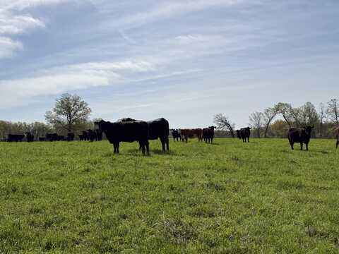 1970 Baker Creek Road, Mansfield, MO 65704