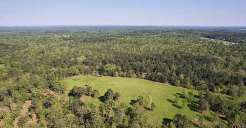 TBD FM 852, Winnsboro, TX 75494