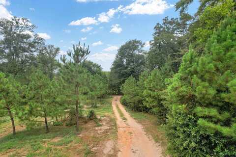 4557 Elderberry, Gilmer, TX 75644