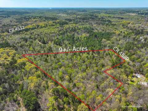 TBD (9Acres) CR 4530, Winnsboro, TX 75494