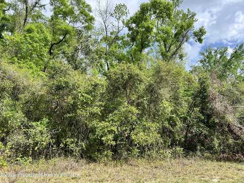 NE 349 Avenue, Old Town, FL 32680