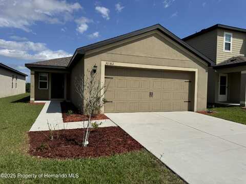 30182 Fedora Circle, Brooksville, FL 34602