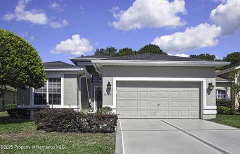10109 HOLLY BERRY Drive, Weeki Wachee, FL 34613
