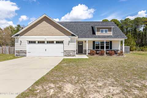 210 Tappi Terrace, Hubert, NC 28539