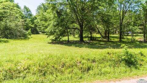 Tbd Finklea Road, Hallsville, TX 75650