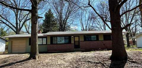 11606 Herefordshire Drive, Saint Louis, MO 63138
