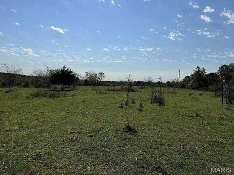 0 Date Drive, Summersville, MO 65571