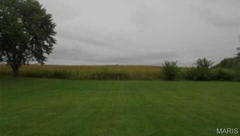 1102 Cherry Street, Bartelso, IL 62218