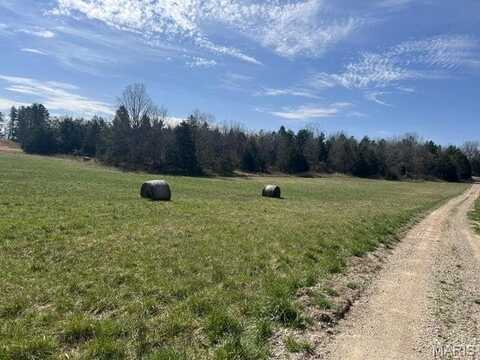 14953 County Road 615, Birch Tree, MO 65438