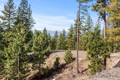 17 Tito Trail unit: 1, Cascade, ID 83611