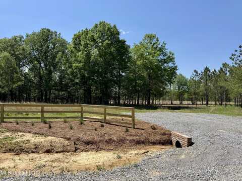 Windfall Trail, Madison, MS 39110