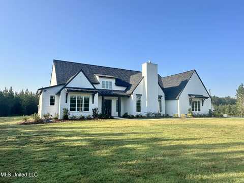 742 Freedom Ridge Lane, Brandon, MS 39047