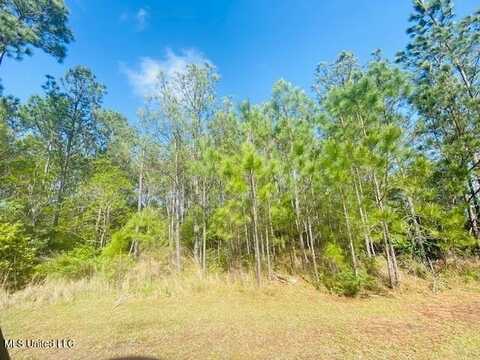 3424 Lumahai Place, Diamondhead, MS 39525