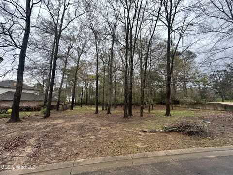 Cottesbrooke Circle Circle, Madison, MS 39110