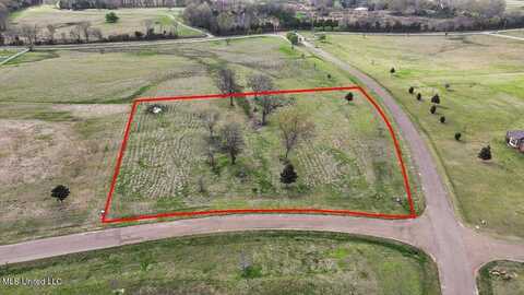 0 Lovorn Court, Flora, MS 39071