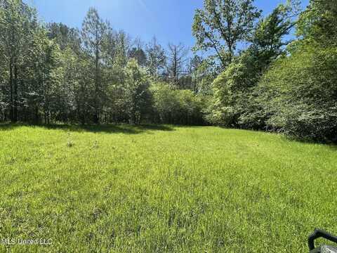 00 Us Highway 51, Pickens, MS 39146