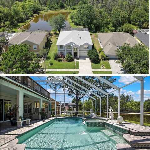 3243 ASHMONTE DRIVE, LAND O LAKES, FL 34638