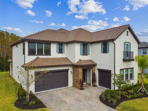 19719 CYPRESS BRIDGE DRIVE, ODESSA, FL 33556