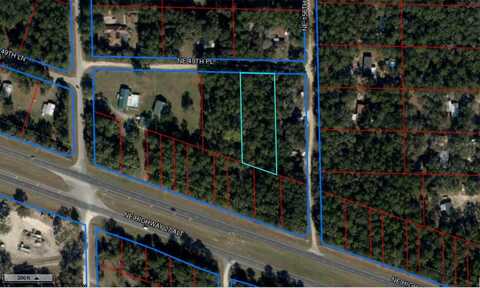 00 NE 49TH PLACE, WILLISTON, FL 32696