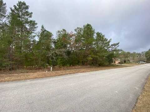14 STATICE COURT, HOMOSASSA, FL 34446