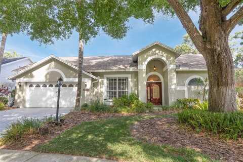 13703 WHITEBARK PLACE, TAMPA, FL 33625