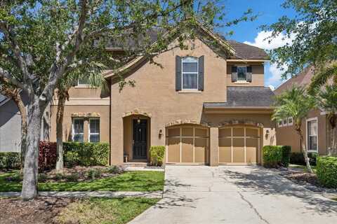 11607 MERIDIAN POINT DRIVE, TAMPA, FL 33626